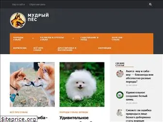 doggiedog.ru