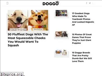 doggo.com