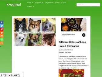 dogmal.com