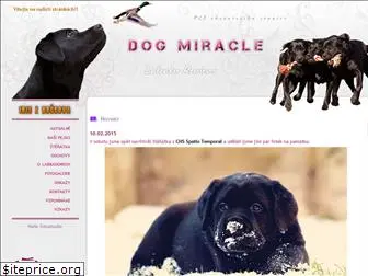 dogmiracle.cz