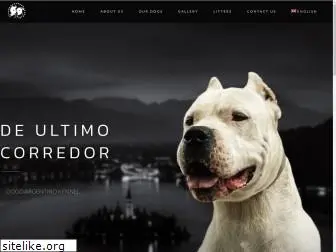 dogo-argentino.si