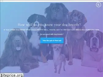 dogpack.com