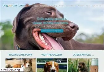 dogperday.com