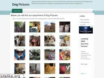 dogpictures.co