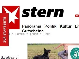 dogs-magazin.de