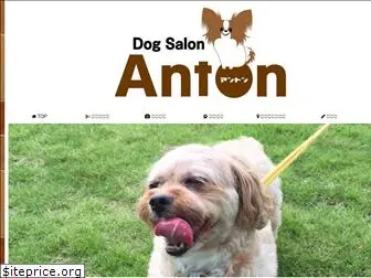 dogsalon-anton.com