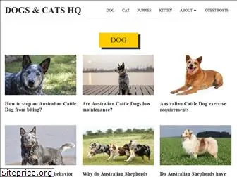 dogsandcatshq.com