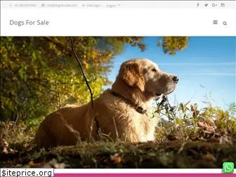 dogsforsale.co.in