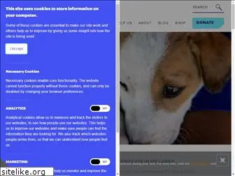 dogstarfoundation.com