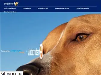 dogtrader.com