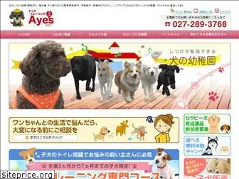 dogtrainerayes.com