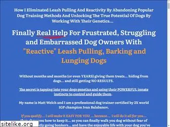 dogtrainingboca.com