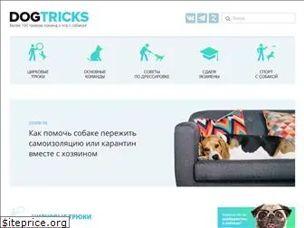 dogtricks.ru