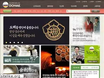 dohae.com