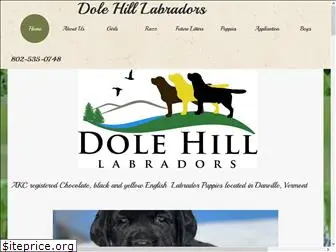 dolehilllabradors.com