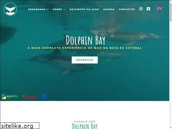 dolphinbay.pt