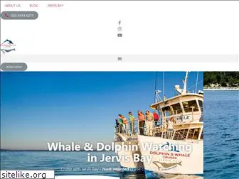 dolphinwatch.com.au