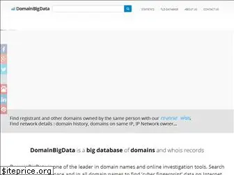 domainbigdata.com