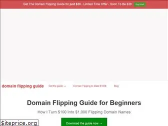 domainflippingguide.org