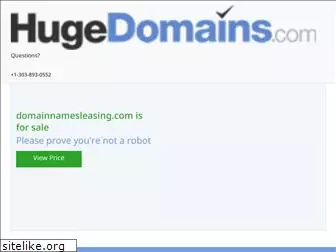 domainnamesleasing.com