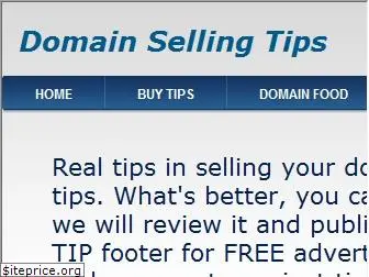 domainsellingtips.com