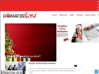 domatessuyu.com