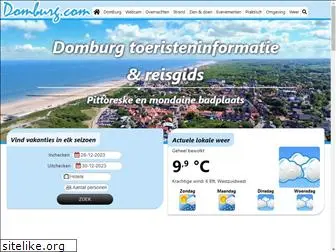 domburg.com