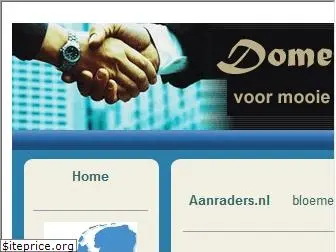 domeinplaza.nl