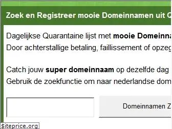 domeinquarantaine.nl