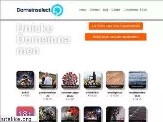 domeinselect.nl