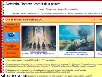 domnec.com