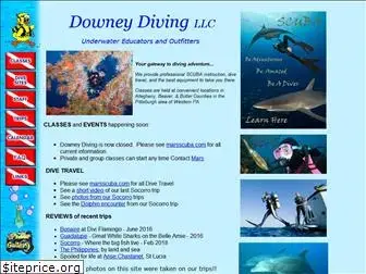 downdive.com