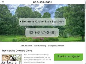 downersgrovetreeservice.com