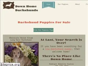 downhomedachshunds.com
