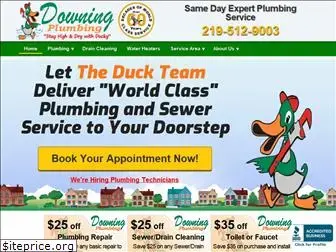 downingplumbing.com