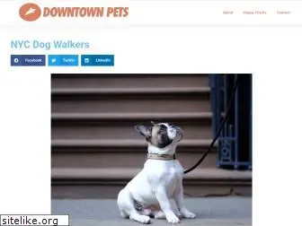 downtownpet.com