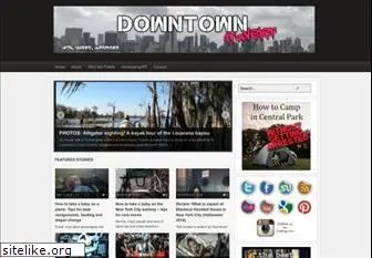 downtowntraveler.com