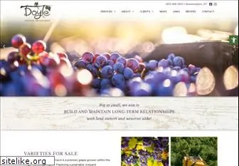 doylevineyard.com