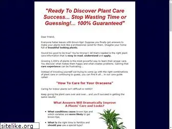 dracaenacare.com