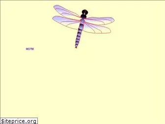 dragonflyalley.com