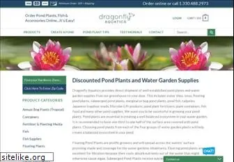 dragonflyaquatics.com