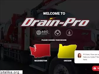 drain-proinc.com