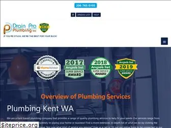 drainproplumbing.net