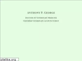 dranthonygeorge.com