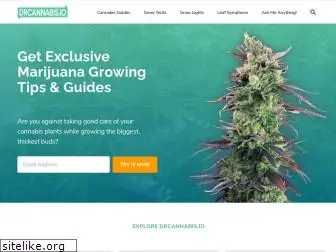 drcannabis.io