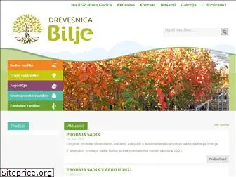 www.drevesnica-bilje.si