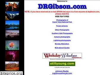 drgibson.com