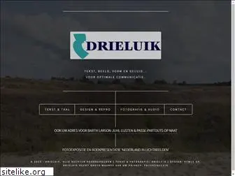 drieluik.nl