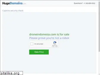 droneindonesia.com