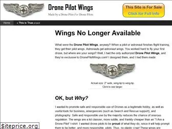 dronepilotwings.com